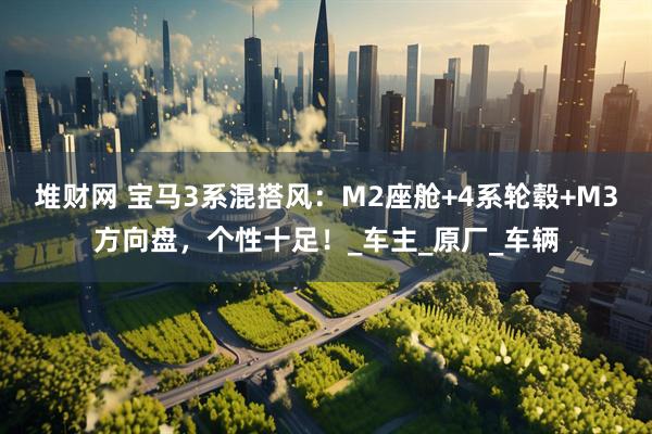 堆财网 宝马3系混搭风：M2座舱+4系轮毂+M3方向盘，个性十足！_车主_原厂_车辆